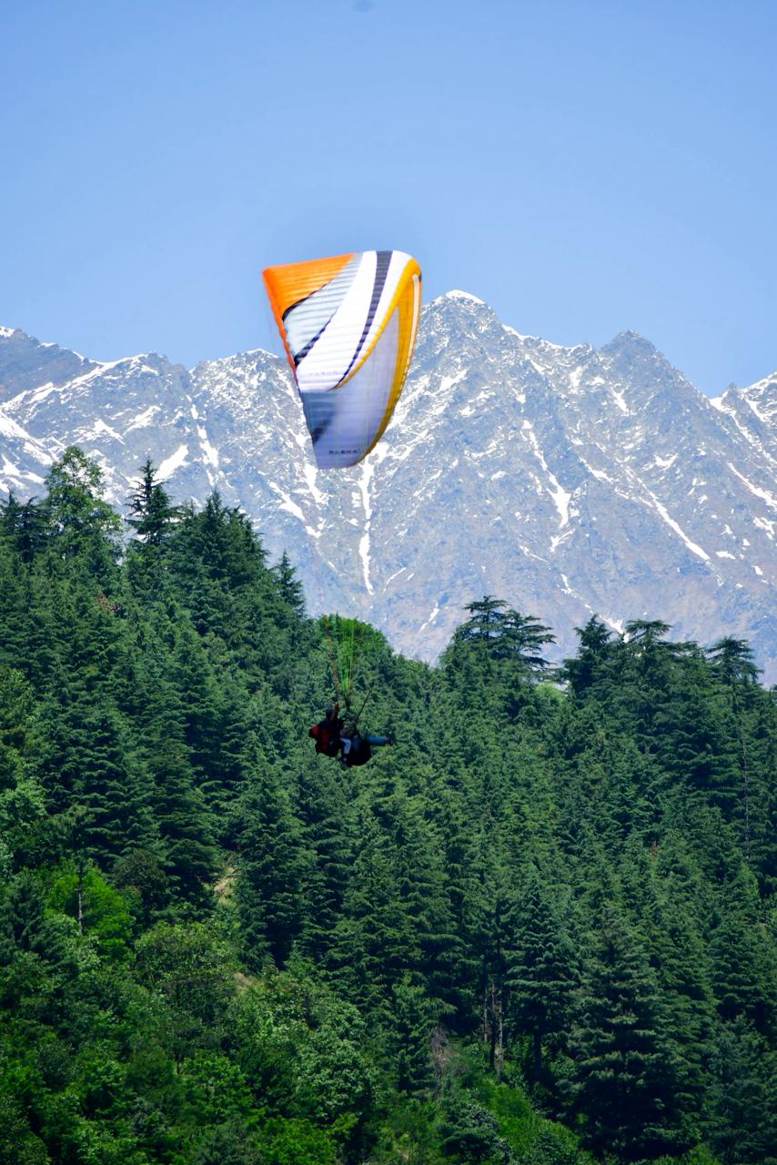 Paragliding in Manali - Born To Fly