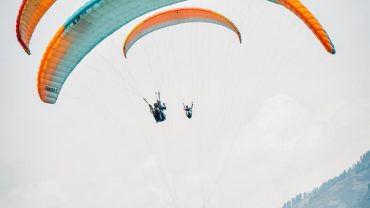 Joy Ride - Born To Fly